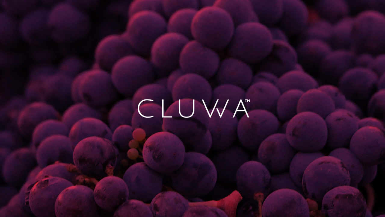 Cluvva