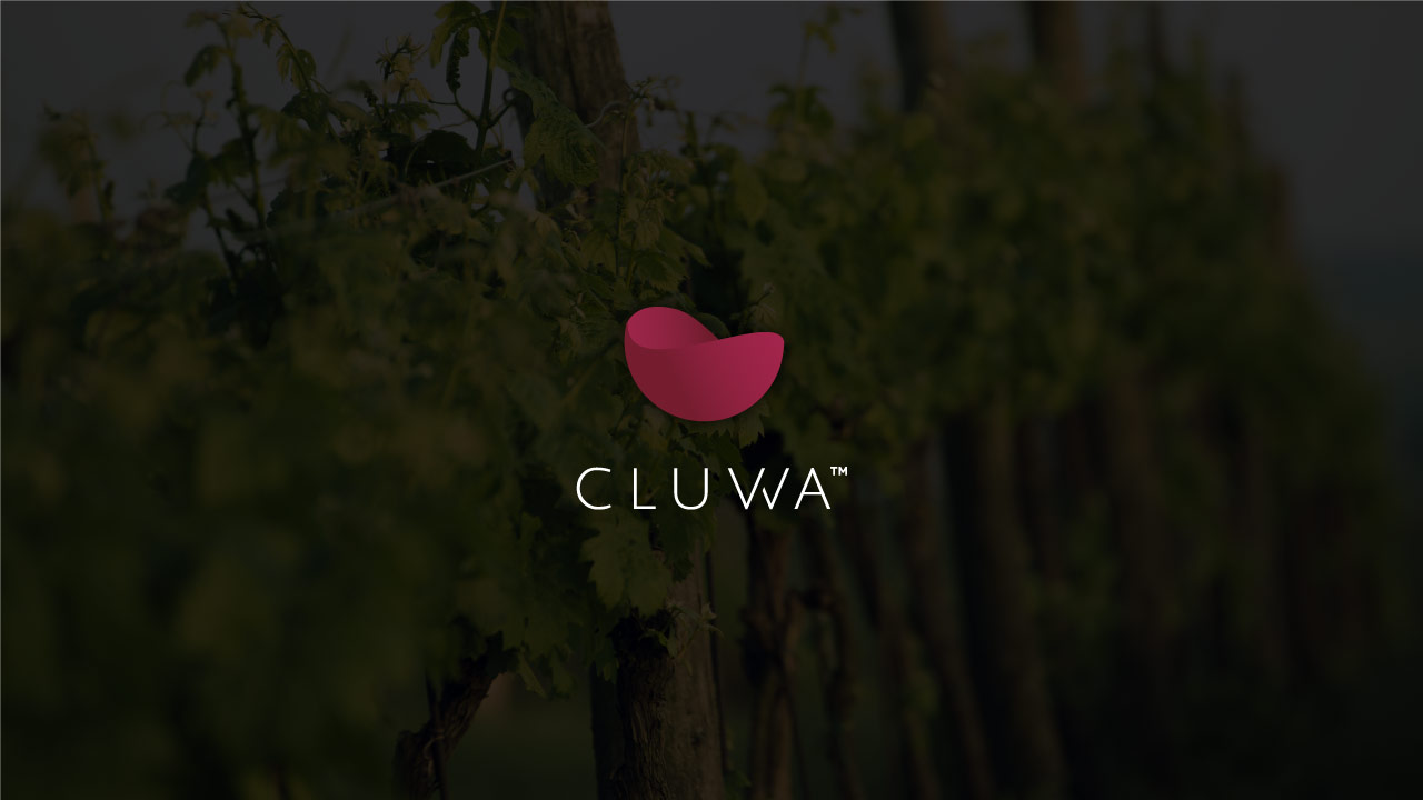 Cluvva